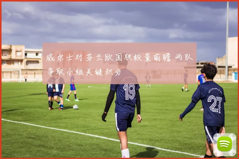 威尔士对芬兰欧国联较量前瞻 两队争取小组关键积分